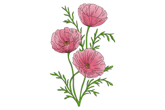 Beautiful Poppies: A Designer’s Real-World Review