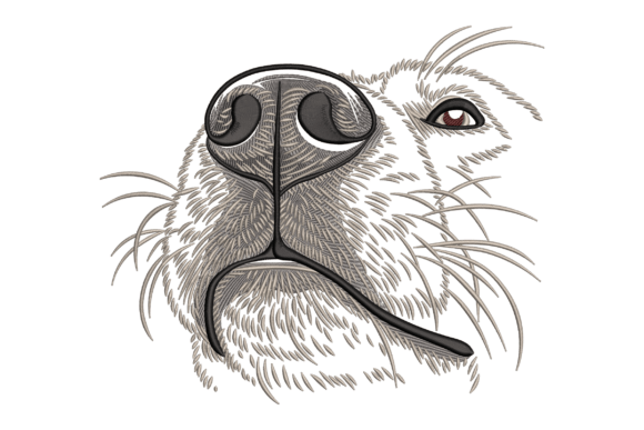 Close-Up Dog Nose Review